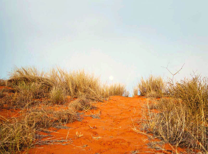 Wydmy piaskowe na Pustyni Kalahari